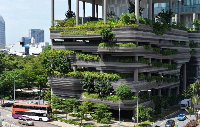 khởi nghiệp xanh